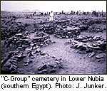 http://www.nubianet.org/about/img/2DA.jpg