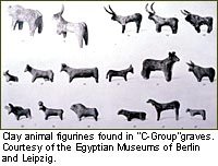 http://www.nubianet.org/about/img/2D_D.jpg