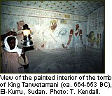 http://www.nubianet.org/about/img/2H3_F.jpg