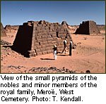 http://www.nubianet.org/about/img/2J3_A.jpg