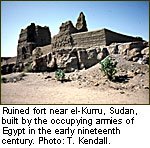 http://www.nubianet.org/about/img/2M3_a.jpg